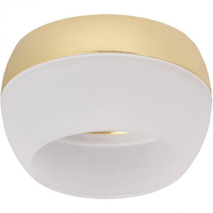 Накладной потолочный светильник IEK Lighting 4010 под лампу gx53 золото LT-UPB0-4010-GX53-1-K22 Накладной потолочный светильник IEK Lighting 4010 под лампу gx53 золото LT-UPB0-4010-GX53-1-K22