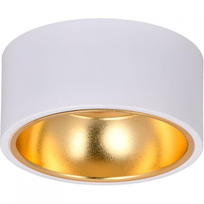 Накладной потолочный светильник IEK Lighting 4017 под лампу gx53 белый/золото LT-UPB0-4017-GX53-1-K55 Накладной потолочный светильник IEK Lighting 4017 под лампу gx53 белый/золото LT-UPB0-4017-GX53-1-K55