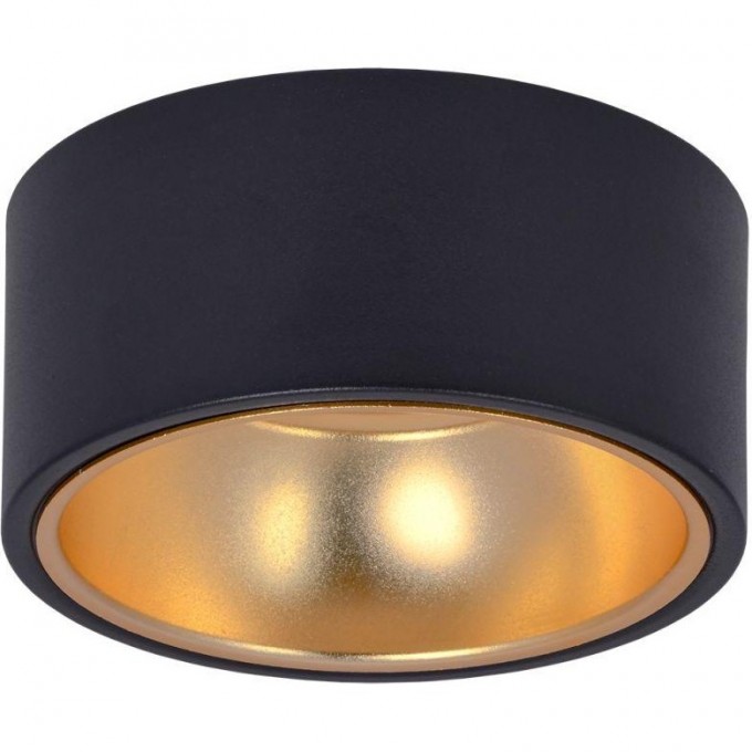 Накладной потолочный светильник IEK Lighting 4017 под лампу gx53 черный/золото LT-UPB0-4017-GX53-1-K57 Накладной потолочный светильник IEK Lighting 4017 под лампу gx53 черный/золото LT-UPB0-4017-GX53-1-K57