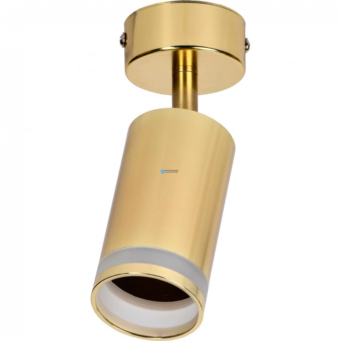 Настено-потолочный накладной светильник IEK Lighting 4006 под лампу gu10 золото LT-USB0-4006-GU10-1-K22 Настено-потолочный накладной светильник IEK Lighting 4006 под лампу gu10 золото LT-USB0-4006-GU10-1-K22