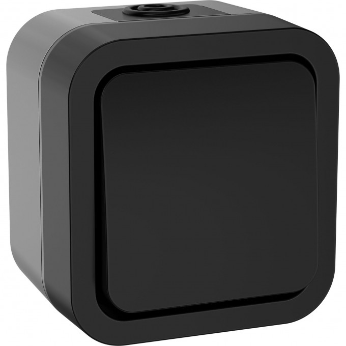 Переключатель одноклавишный IEK TORS 10А IP55 графит TS-V10-0-10-55-K53 Переключатель одноклавишный IEK TORS 10А IP55 графит TS-V10-0-10-55-K53