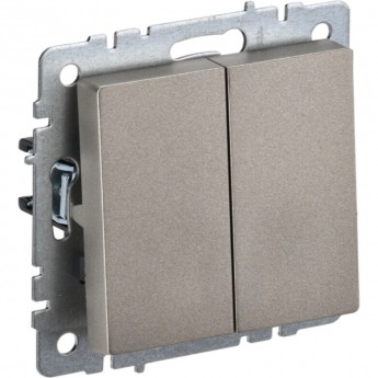 Выключатель 2-клавишный IEK BRITE 10А ВС10-2-0-БрШ шампань - BR-V20-0-10-K37 Выключатель 2-клавишный IEK BRITE 10А ВС10-2-0-БрШ шампань - BR-V20-0-10-K37