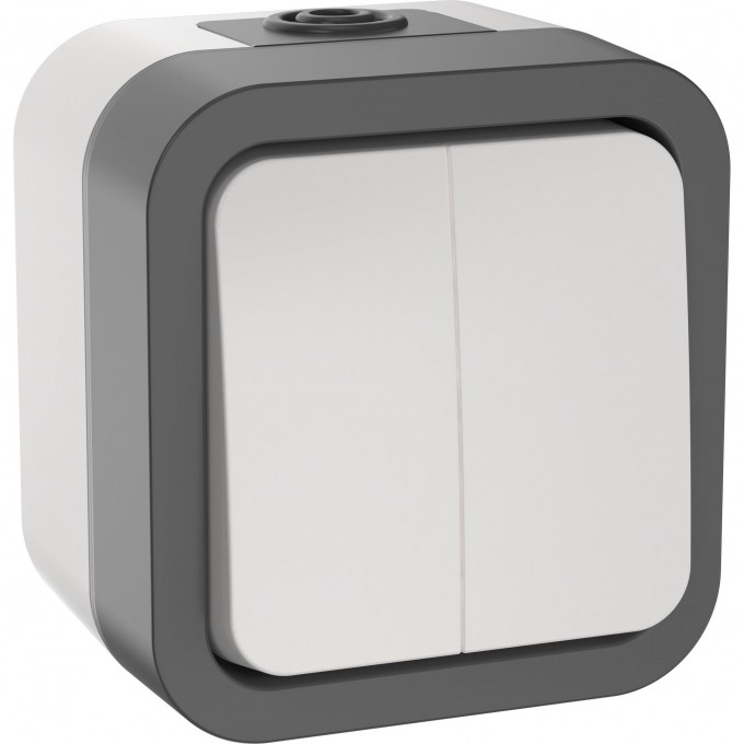 Выключатель двухклавишный IEK TORS 10А IP55 белый TS-V20-0-10-55-K41 Выключатель двухклавишный IEK TORS 10А IP55 белый TS-V20-0-10-55-K41