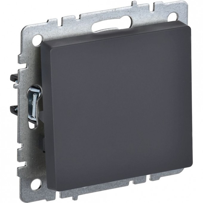 Выключатель IEK BRITE 1-клавишный перекр. 10А ВС10-1-3-БрГ графит BR-V13-0-10-K53 Выключатель IEK BRITE 1-клавишный перекр. 10А ВС10-1-3-БрГ графит BR-V13-0-10-K53